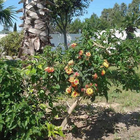 Tenuta I Giardini Del Salento Acomodação com café da manhã Veglie Exterior foto